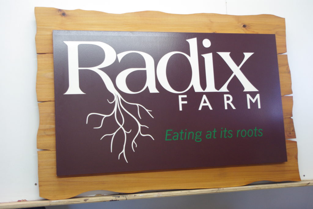 Radix Farm - rustic wood with MDO plywood panel hand painted