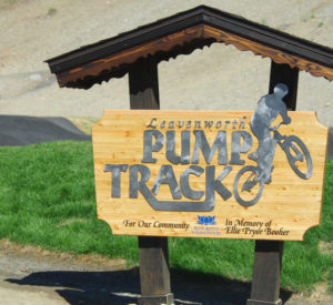 Pump Track wooden sign with shinny steel letters